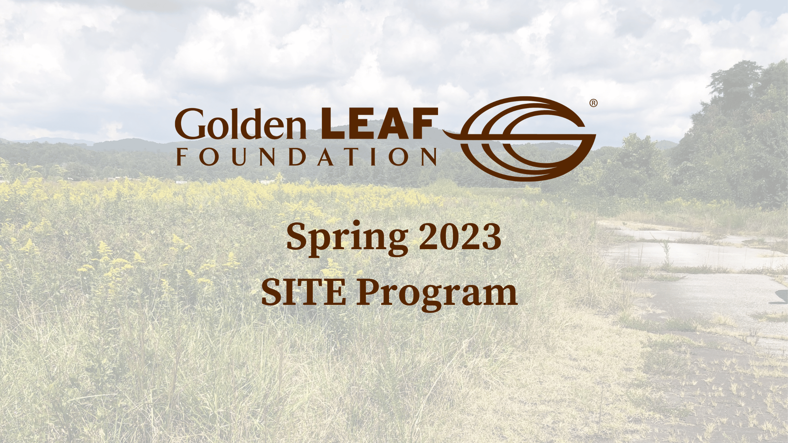 Spring 2023 SITE Program applications are live