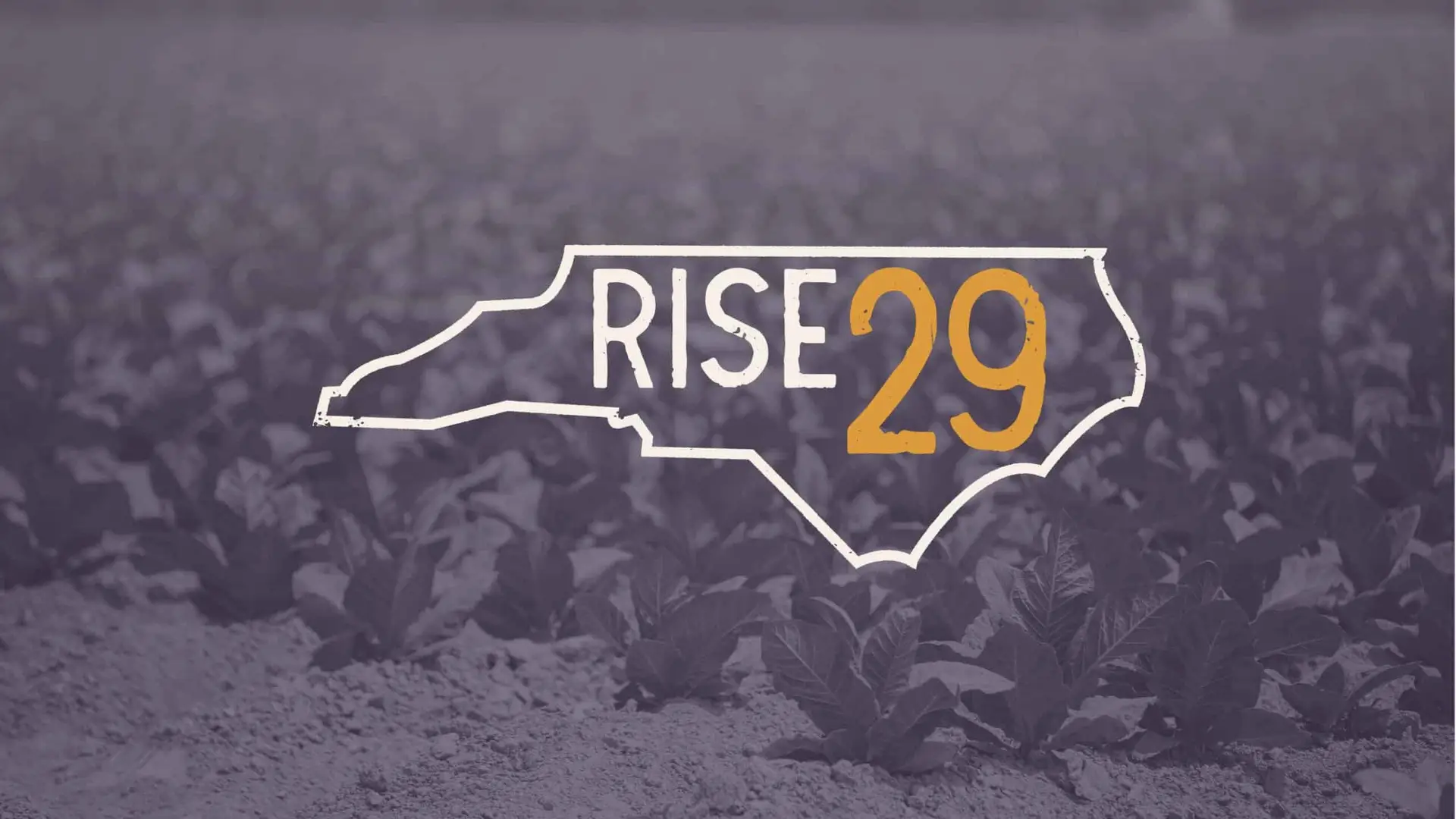RISE29 grows entrepreneurship in four eastern N.C. counties - Golden ...